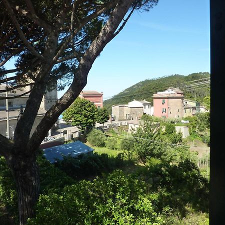 Hotel Silvia Framura - Cinque Terre エクステリア 写真