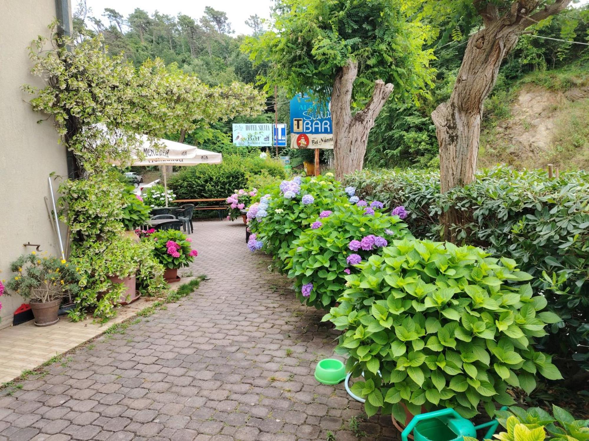 Hotel Silvia Framura - Cinque Terre エクステリア 写真