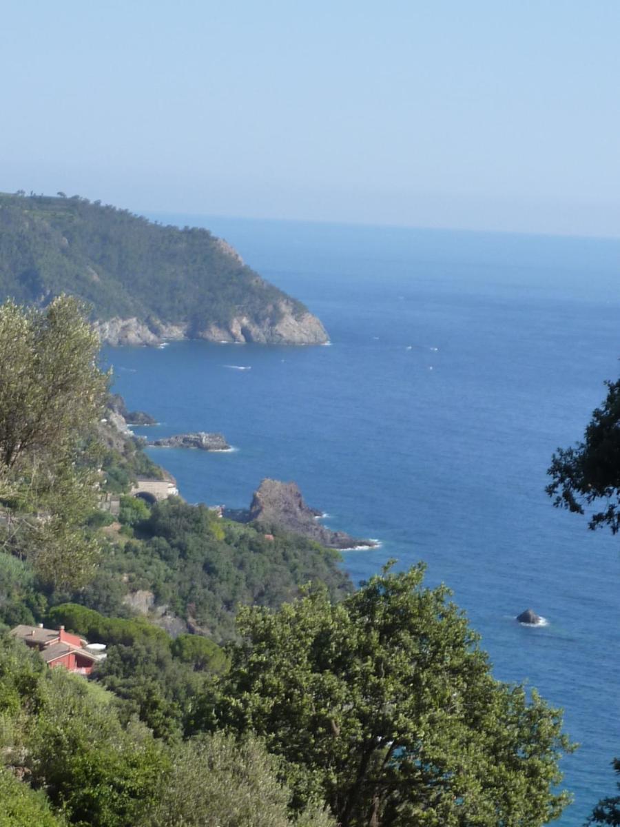 Hotel Silvia Framura - Cinque Terre エクステリア 写真