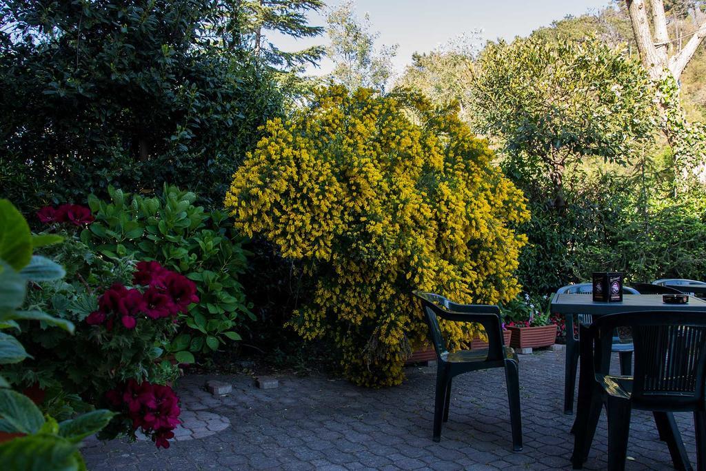 Hotel Silvia Framura - Cinque Terre エクステリア 写真